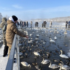 Экскурсия «Земля Лебединая!» 