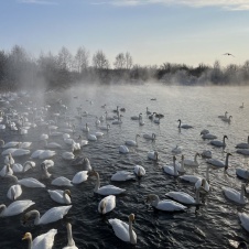 Экскурсия «Бийск и его сокровища!»